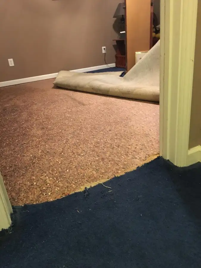 Carpet pad removal revealing water damage during Drying & Dehumidification in Pineville