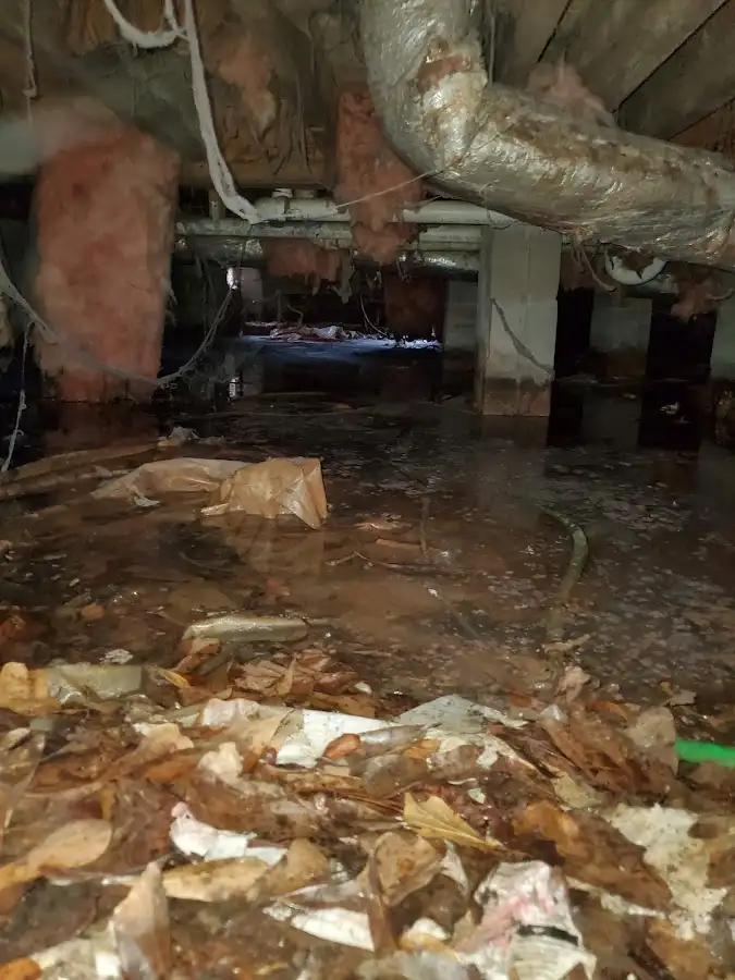 Crawl space flood assessment for Leak Detection & Repair in Pineville